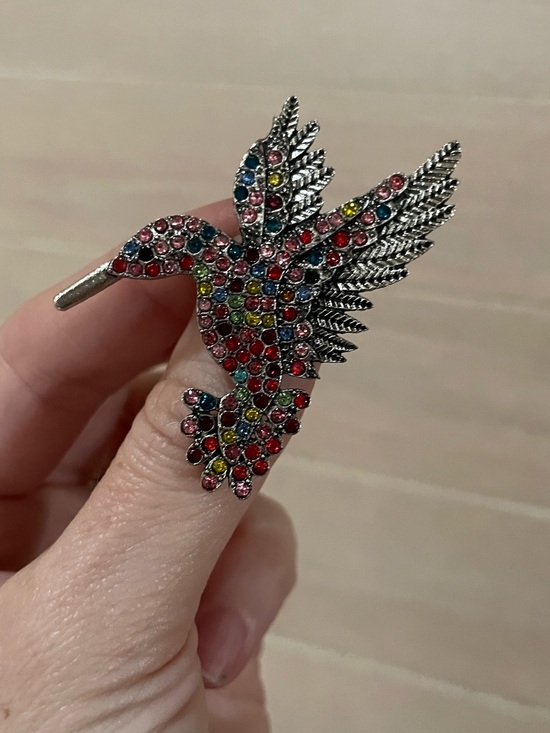 Jewelry - Rainbow Hummingbird Brooch